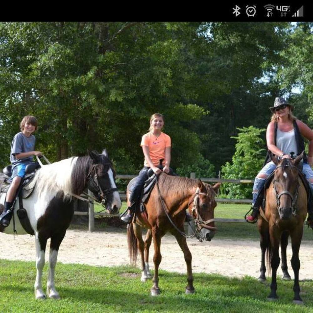 Meet your Posher, Dawn